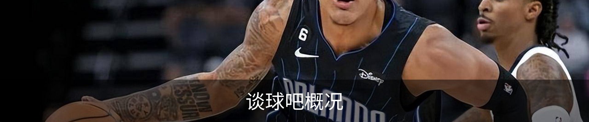 谈球吧概况